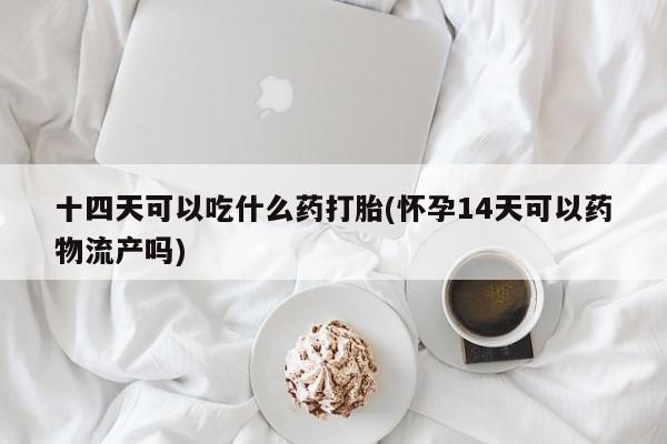米非司酮片在线购买十四天可以吃什么药打胎(怀孕14天可以药物流产吗)